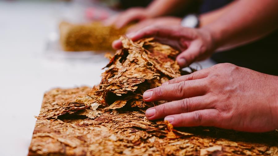 België piekt op nummer 2 in illegale smokkel en productie van namaaktabak