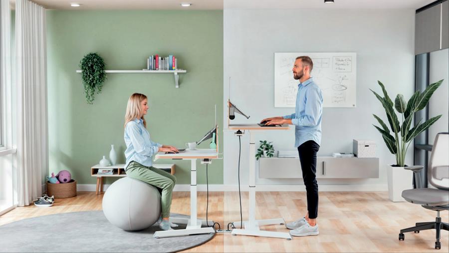 Leitz Ergo Small Electric Sit Standing Desk