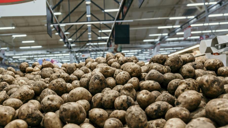 Portret van een wereldsucces: de Belgische aardappel