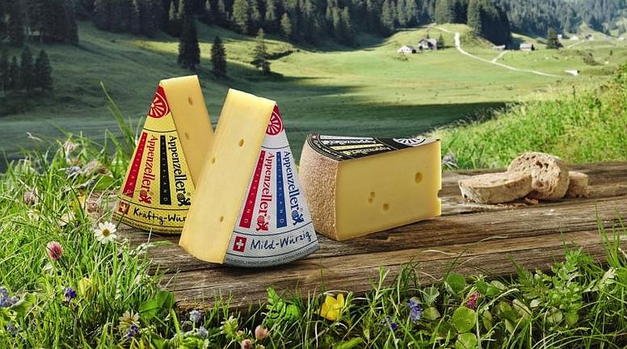 Appenzeller®, de pittigste kaas van Zwitserland