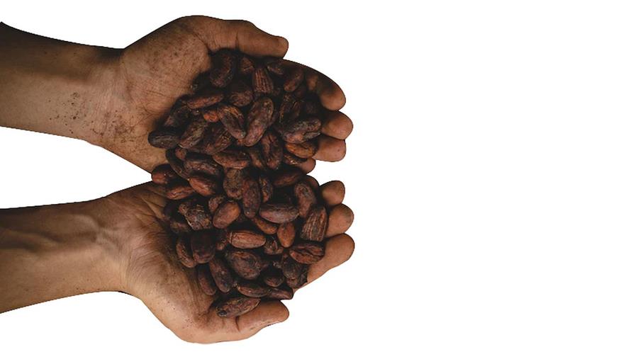 Objectifs pour rendre la cacaoculture durable